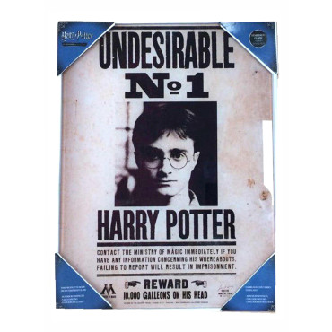 Cartaz de vidro indesejável nº1 Harry Potter