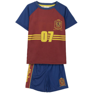 Conjunto de crianças Harry Potter Quidditch