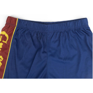 Conjunto de crianças Harry Potter Quidditch