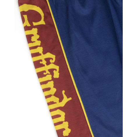 Conjunto de crianças Harry Potter Quidditch