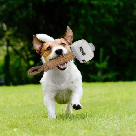 Mjolnir Thor Avengers mastigável para cães