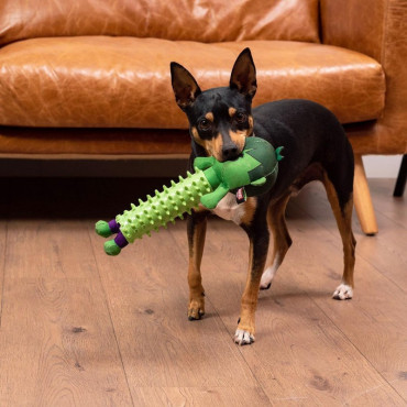 Mordedor para cão Hulk Avengers