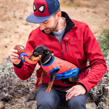 Anel de dentição para cães Spiderman Marvel