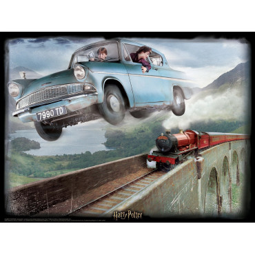 Puzzle lenticular Harry Potter Ford Anglia 500 peças