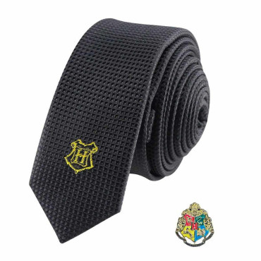 Conjunto de gravata e alfinete de Harry Potter em Hogwarts