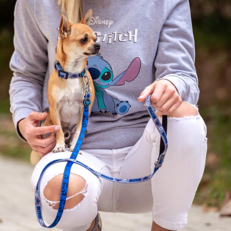 Trela para cão em ponto