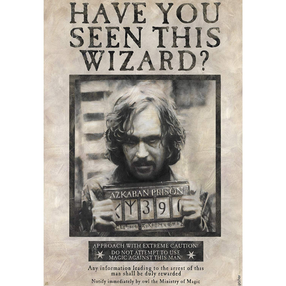 Procura-se Sirius Black Cartaz Harry Potter