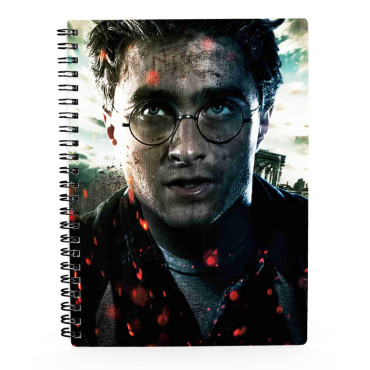 Bloco de notas 3D Cara de Harry Potter