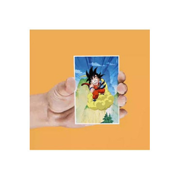 Conjunto de ímanes lenticulares Dragon Ball