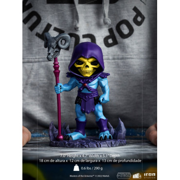 Minico Masters Of The Universe Skeletor Figura